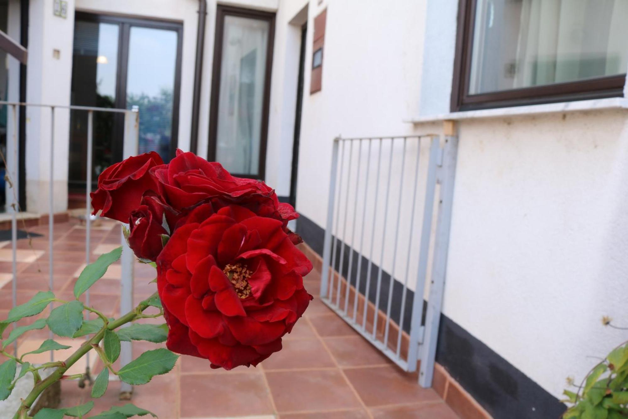 סראייבו Buba Apartment מראה חיצוני תמונה